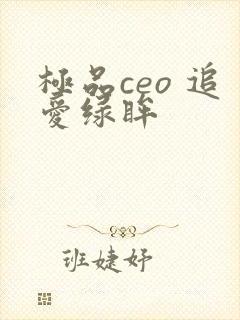 极品ceo 追爱绿眸