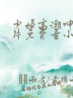 少妇高潮呻吟A片免费看小说