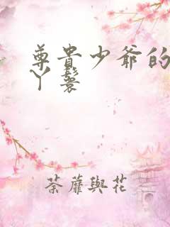 尊贵少爷的大牌丫鬟