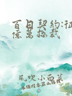 百日契约:征服亿万总裁