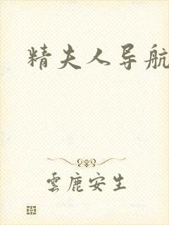 精夫人导航