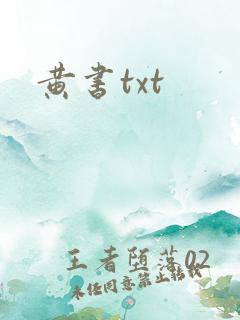 黄书txt