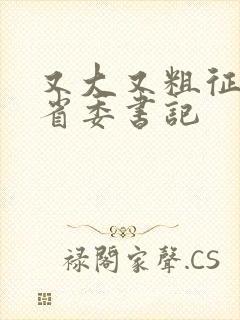 又大又粗征服女省委书记