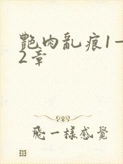 艳肉乱痕1—12章