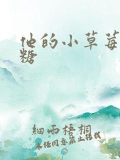 他的小草莓软糖糖