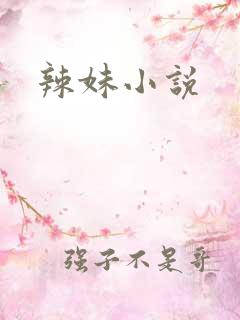 辣妹小说
