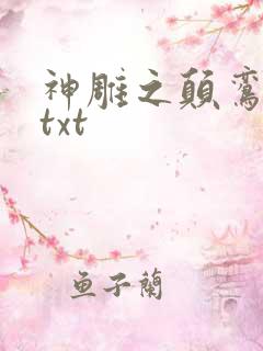 神雕之颠鸾倒凤txt
