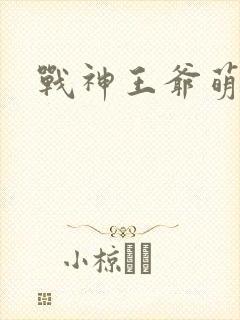 战神王爷萌虎妃