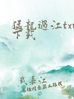 猛龙过江txt下载