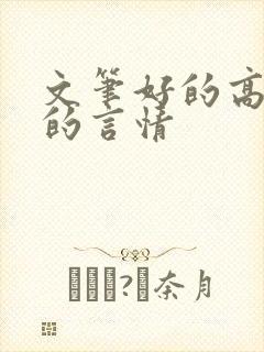 文笔好的高质量的言情