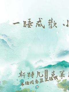 一睡成欢 小说
