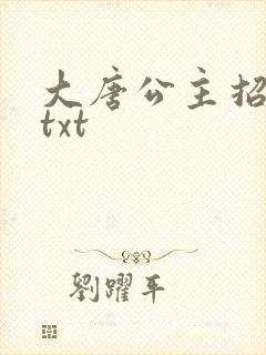 大唐公主招亲记txt