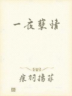 一夜孽情