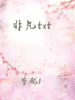 非凡txt