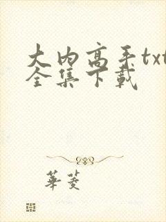 大内高手txt全集下载