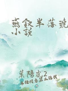 燕钗半落琥珀糖小说