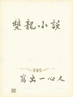 双龙小说