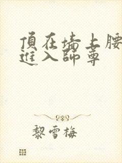 顶在墙上腰一沉进入师尊