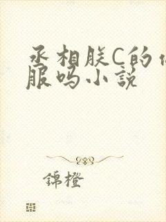 丞相朕C的你舒服吗小说