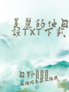 美丽的他日剧小说TXT下载
