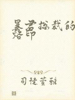 暴君总裁的狂烈烙印