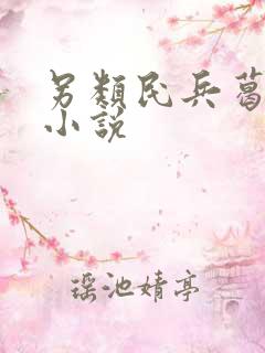 另类民兵葛二蛋小说