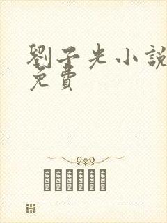 刘子光小说全文免费