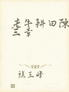 老牛耕田陈雪第三章