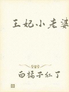 王妃小老婆