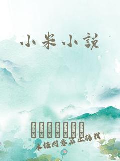 小米小说