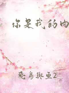 你是我的肉便器