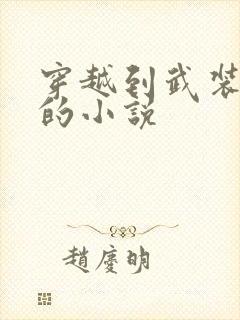 穿越到武装少女的小说