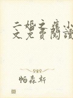 二婚之痒小说全文免费阅读