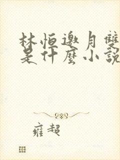 林恒邀月双胞胎是什么小说