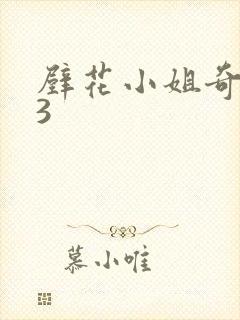 壁花小姐奇遇记3