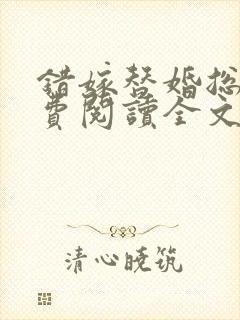 错嫁替婚总裁免费阅读全文