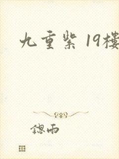九重紫 19楼