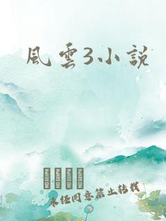 风云3小说