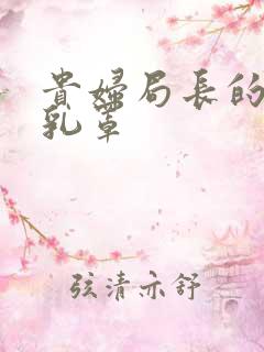 贵妇局长的蕾丝乳罩