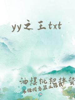 yy之王txt