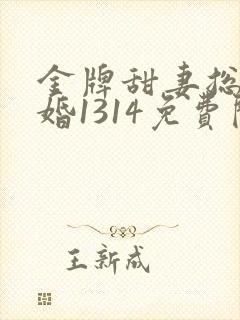 金牌甜妻总裁宠婚1314免费阅读