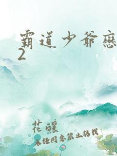 霸道少爷恋上我2