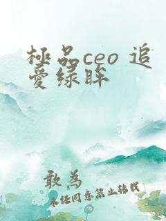 极品ceo 追爱绿眸