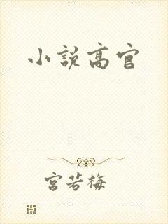 小说高官