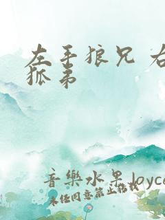 左手狼兄 右手狐弟