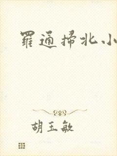 罗通扫北小说