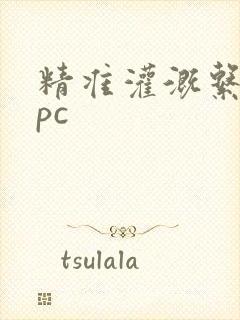 精准灌溉系统npc