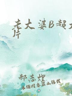 老大婆B超大图片