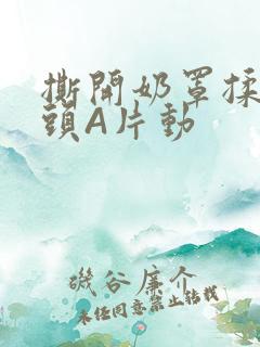 撕开奶罩揉吮奶头A片动