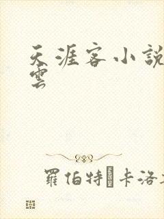 天涯客小说百度云